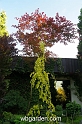 wbgarden spring 54